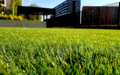 Artificial Grass: Sustainable Landscaping and Winter Care in Canada