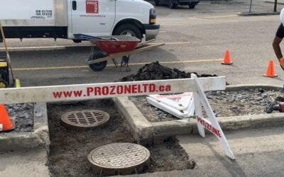 Why Choose ProZone for Your Concrete Repairs