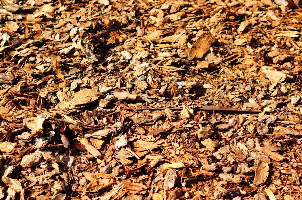 Close-up of cedar mulch spread evenly on garden soil during the day 