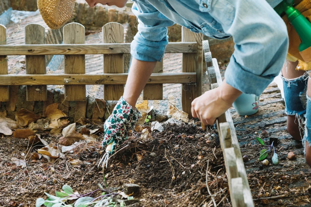 Woman preparing soil in garden bed before adding cedar mulch