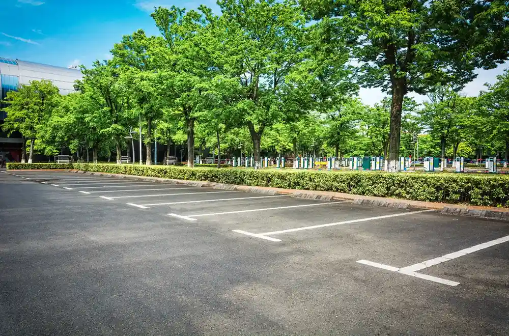 Empty asphalt parking lot surrounded by green trees – Parking lot repair
