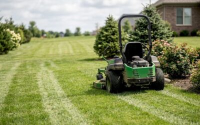 Streamline your landscaping maintenance workflow in 6 steps