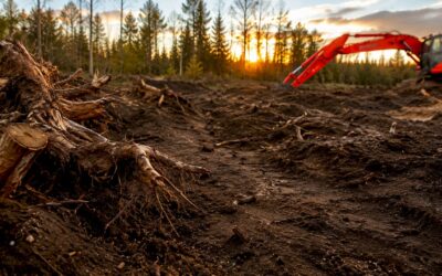 What is site preparation? A complete guide for Alberta