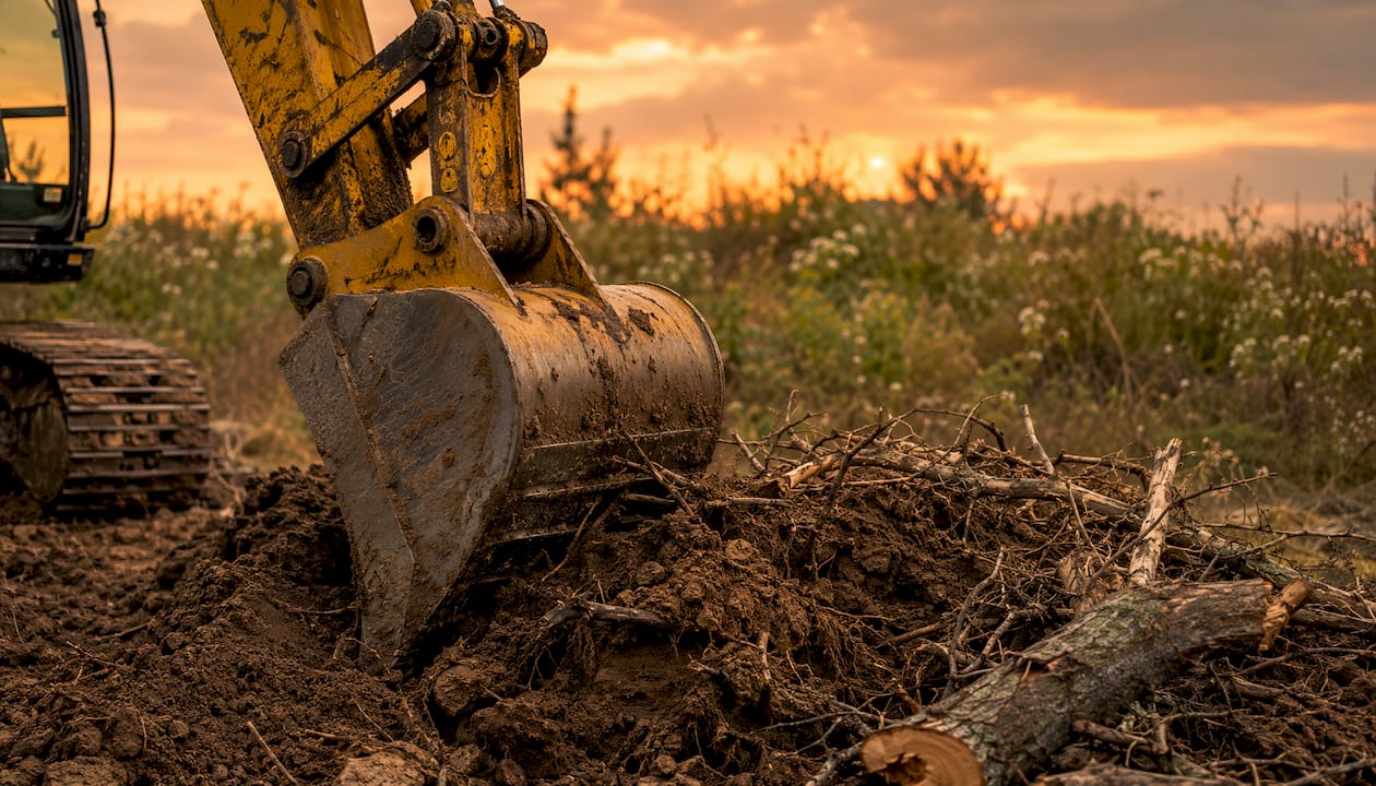 Excavator bucket with dirt and roots at clearing site