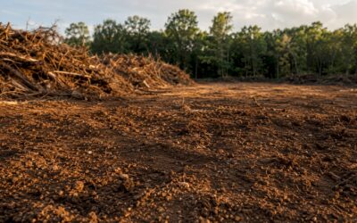 Lot clearing explained: what property owners need to know