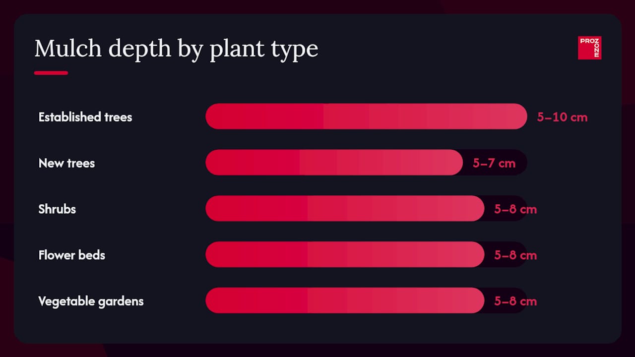 Mulch depth guide by plant type diagram
