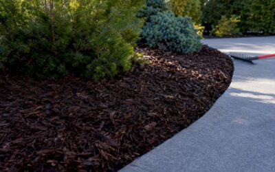 2–4 inch mulch rule for Edmonton yards: which mulch types work