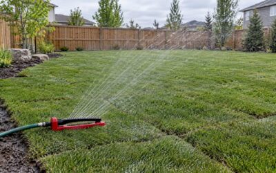 21 Day Sod Watering Schedule for Cold Climate Lawns