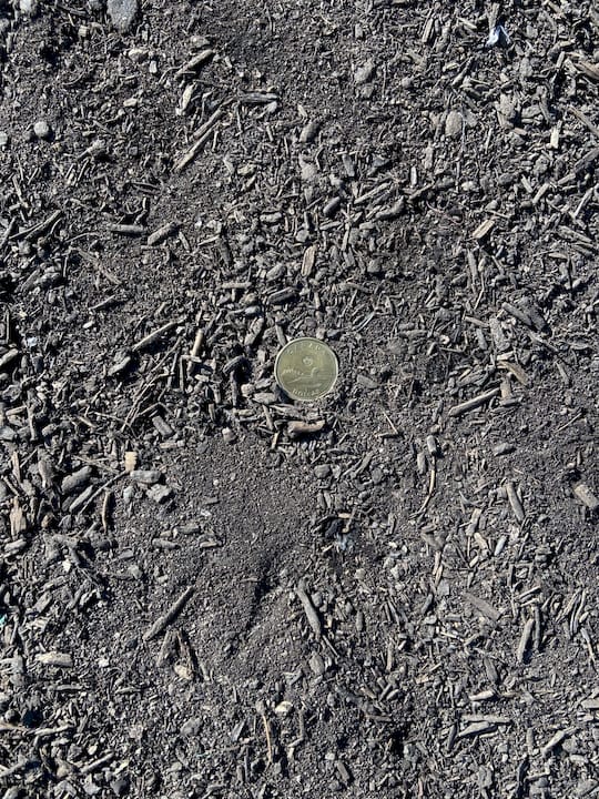 Compost
