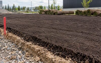 10–15 cm Topsoil, 3% Slope: Soil Prep for Sod for Project Managers