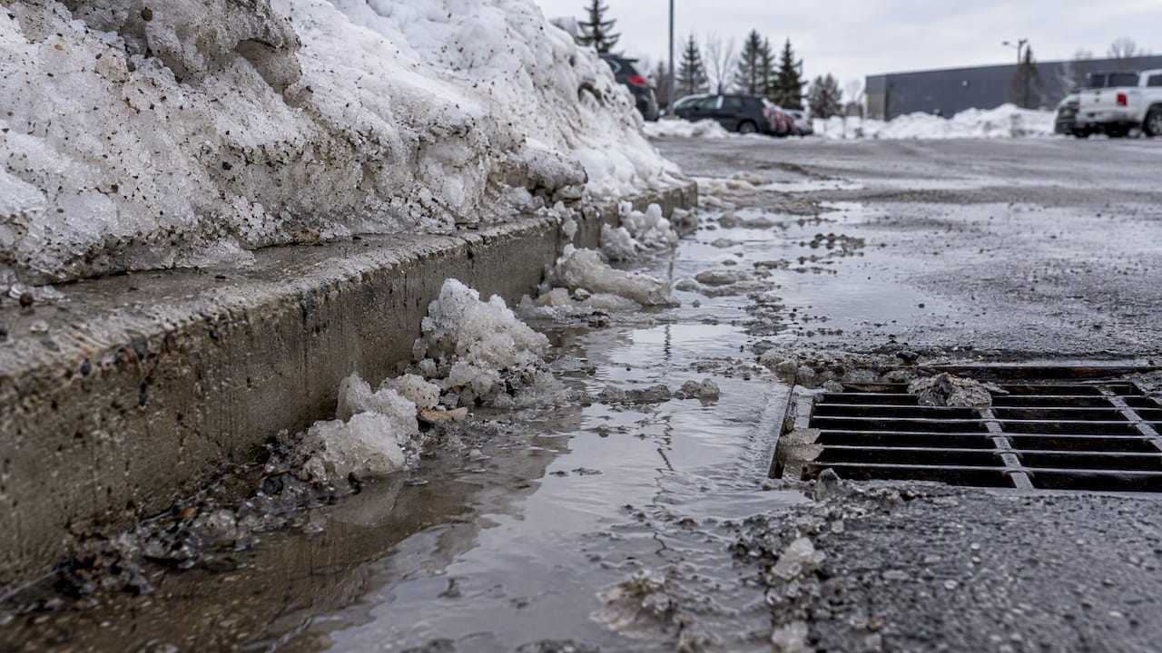 Gritty snowmelt pooling beside a catch basin
